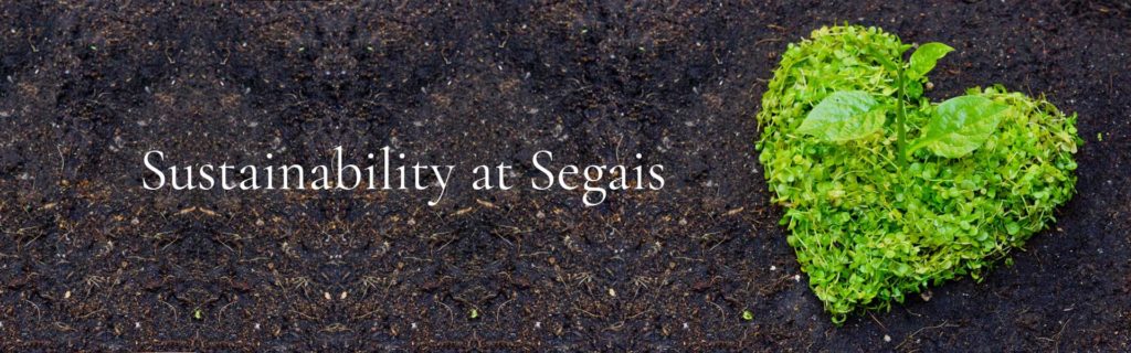 Sustainability at Segais Hairdressers and Beauty Salon Wantage